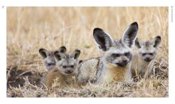New on Earth: Baby Animals in the Wild