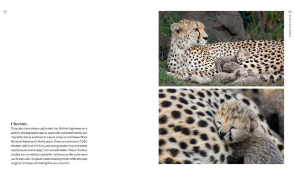 New on Earth: Baby Animals in the Wild