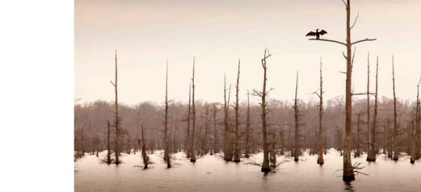 Refuge: America's Wildest Places (Explore the National Wildlife Refuge System, Including Kodiak, Palmyra Atoll, Rocky Mountains, and More, Photography Books, Coffee-Table Books, Wildlife Conservation)