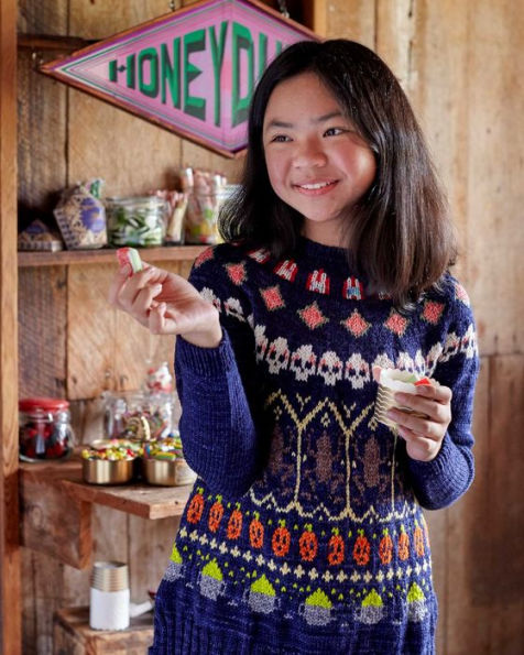 Quidditch Yoke Pullover | Knitting pattern