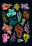 Alternative view 2 of Art of Nature: Under the Sea Sewn Notebook Collection (Set of 3): (Cute Stationery Gift, Gift for Girls, Notebooks)