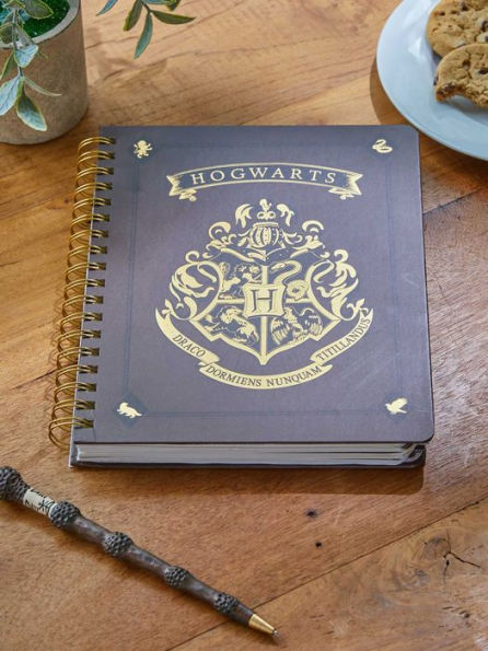 Harry Potter: Hogwarts Acceptance Letter Hardcover Ruled Journal