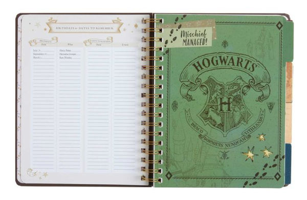 Harry Potter: Hogwarts 12-Month Undated Planner: (Harry Potter School Planner School, Harry Potter Gift, Harry Potter Stationery, Undated Planner)