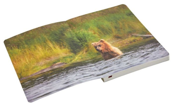 Refuge: Purple Fireweed Softcover Notebook: Kenai National Wildlife Refuge (Gifts for Outdoor Enthusiasts and Nature Lovers, Journals for Hikers, National Parks)