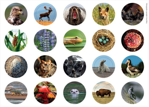 Refuge Card Portfolio Set (Set of 20 Cards): (Gifts for Outdoor Enthusiasts and Nature Lovers, National Parks, Note Cards)