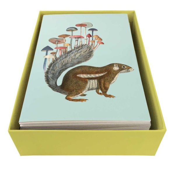 Art of Nature: Fungi Boxed Card Set (Set of 20 Cards): (Gifts for Mushroom Enthusiasts and Nature Lovers)