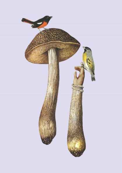 Art of Nature: Fungi Sewn Notebook Collection (Set of 3): (Gifts for Mushroom Enthusiasts and Nature Lovers, Nature Journal, Journals for Hikers)