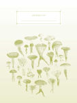 Alternative view 2 of Art of Nature: Fungi Softcover Notebook: (Gifts for Mushroom Enthusiasts and Nature Lovers, Nature Journal, Nature Notebook, Journals for Hikers)