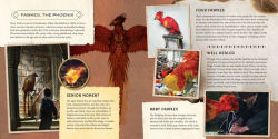 Alternative view 4 of Harry Potter: Magical Creatures: A Movie Scrapbook