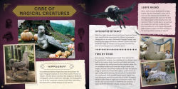 Alternative view 5 of Harry Potter: Magical Creatures: A Movie Scrapbook