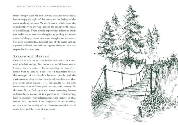 Healing Trees: A Pocket Guide to Forest Bathing