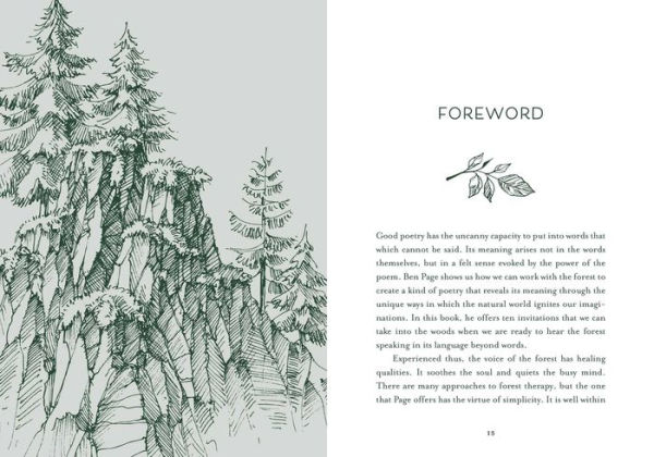 Healing Trees: A Pocket Guide to Forest Bathing