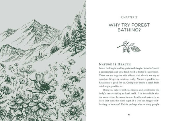 Healing Trees: A Pocket Guide to Forest Bathing