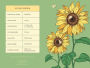 Alternative view 5 of Honeybee Card Portfolio Set (Set of 20 Cards)