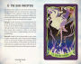Alternative view 4 of Hocus Pocus: The Official Tarot Deck and Guidebook: (Tarot Cards, Tarot for Beginners, Hocus Pocus Merchandise, Hocus Pocus Book)
