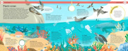 Alternative view 2 of Why Does Plastic Hurt the Planet?: How our stuff is harming the Earth, and what you can do to reduce your use