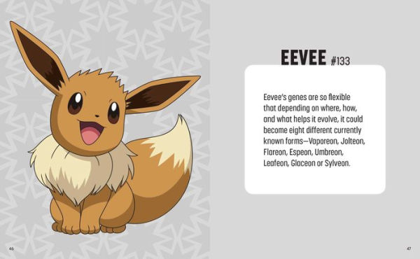 Pokémon: Trainer's Mini Exploration Guide