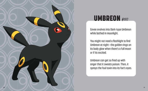 Pokémon: Trainer's Mini Exploration Guide