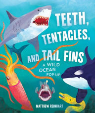 Title: Teeth, Tentacles, and Tail Fins (Reinhart Pop-Up Studio): A Wild Ocean Pop-Up (Reinhart Studios) (Ocean Book for Kids, Shark Book for Kids, Nature Book for Kids), Author: Matthew Reinhart