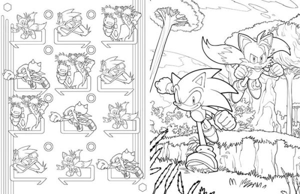  Sonic the Hedgehog: The Official Adult Coloring Book:  9781647229009: Insight Editions: Books