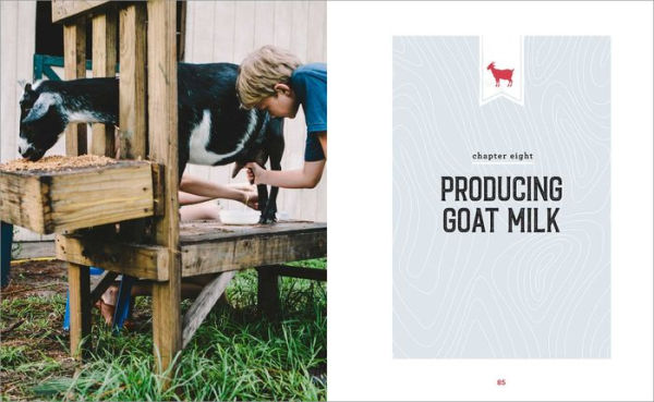 The Beginner's Guide to Raising Goats: How Keep a Happy Herd