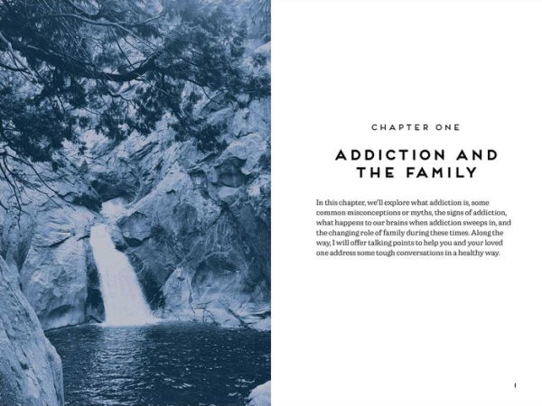 Addiction the Family: Helping Families Navigate Challenges, Emotions, and Recovery