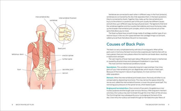 Back Pain Relief Plan: A 20-Minute Exercise-Based Program to Prevent, Manage, and Ease