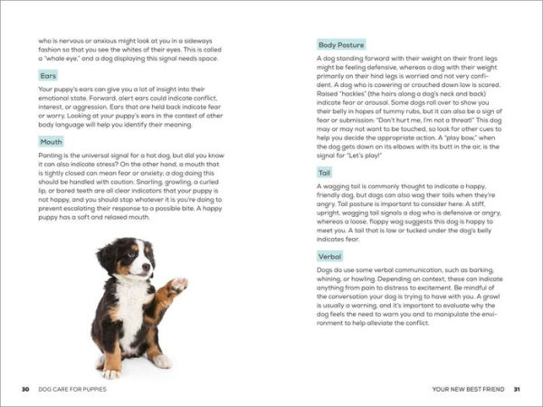 Dog Care for Puppies: A Guide to Feeding, Playing, Grooming, and Behavior