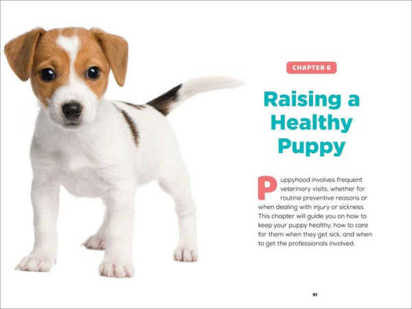 Dog Care for Puppies: A Guide to Feeding, Playing, Grooming, and Behavior