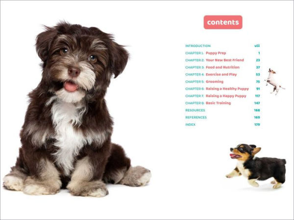 Dog Care for Puppies: A Guide to Feeding, Playing, Grooming, and Behavior