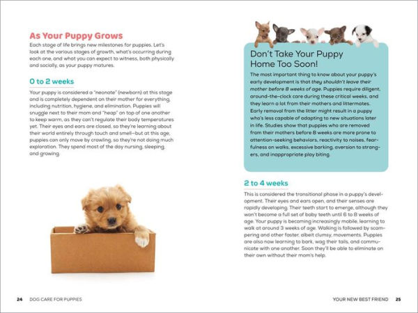 Dog Care for Puppies: A Guide to Feeding, Playing, Grooming, and Behavior