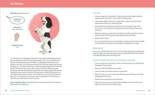 Teach Your Dog New Tricks: Step-by-Step Instructions for Novice, Intermediate, and Advanced Tricks