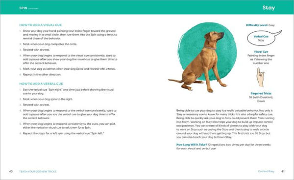 Teach Your Dog New Tricks: Step-by-Step Instructions for Novice, Intermediate, and Advanced Tricks