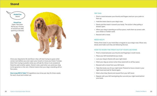 Teach Your Dog New Tricks: Step-by-Step Instructions for Novice, Intermediate, and Advanced Tricks