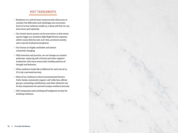 Everyday Resilience: A Practical Guide to Build Inner Strength and Weather Life's Challenges