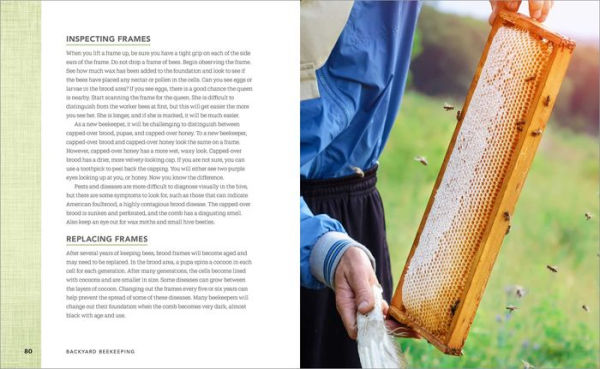 Backyard Beekeeping: Everything You Need to Know Start Your First Hive