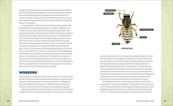 Backyard Beekeeping: Everything You Need to Know Start Your First Hive