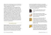 Alternative view 3 of The Holistic Health Handbook: Healing Remedies for Common Ailments