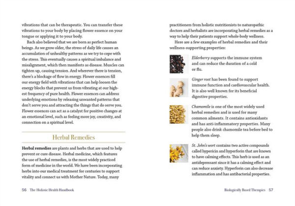 The Holistic Health Handbook: Healing Remedies for Common Ailments