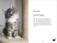 Alternative view 11 of Understanding Cat Behavior: A Compassionate Guide to Training and Communication