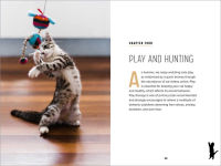 Alternative view 4 of Understanding Cat Behavior: A Compassionate Guide to Training and Communication