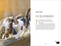 Alternative view 5 of Understanding Cat Behavior: A Compassionate Guide to Training and Communication