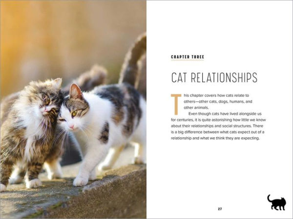 Understanding Cat Behavior: A Compassionate Guide to Training and Communication