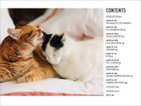 Alternative view 7 of Understanding Cat Behavior: A Compassionate Guide to Training and Communication