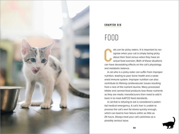 Understanding Cat Behavior: A Compassionate Guide to Training and Communication