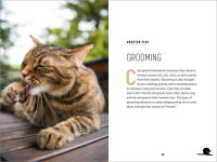 Alternative view 10 of Understanding Cat Behavior: A Compassionate Guide to Training and Communication