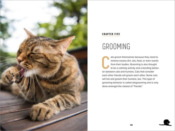 Understanding Cat Behavior: A Compassionate Guide to Training and Communication