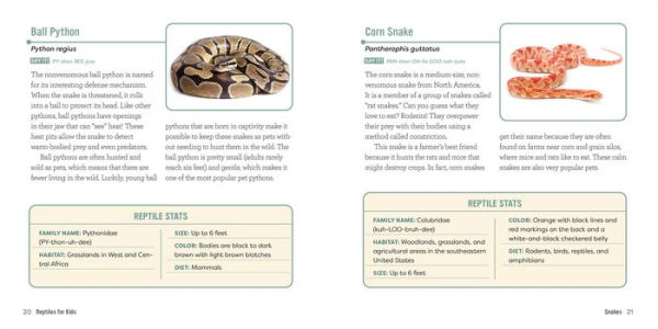 Reptiles for Kids: A Junior Scientist's Guide to Lizards, Amphibians, and Cold-Blooded Creatures