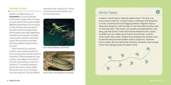 Reptiles for Kids: A Junior Scientist's Guide to Lizards, Amphibians, and Cold-Blooded Creatures