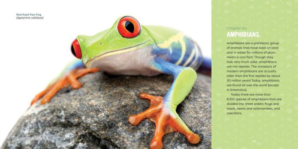 Reptiles for Kids: A Junior Scientist's Guide to Lizards, Amphibians, and Cold-Blooded Creatures